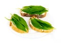 Allium ursinum, known as wild, broad-leaved or wood garlic, ramsons, buckrams, bear leek or bear's garlic served on bread