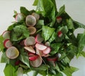 Side Dish / Wood Garlic and Radish Salad