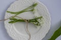 Allium ursinum wild bears garlic flowers in bloom, white rmasons buckrams flowering plants and green edible leaves on plate