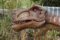 Allosaurus - Allosaurus fragilis Royalty Free Stock Photo