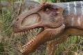 Allosaurus - Allosaurus fragilis Royalty Free Stock Photo