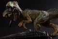 Allosaurus biting a dinosaur body on dark background