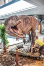 Allosaurus dino, shopping entertainment center SUKCESJA, carnivorous theropod dinosaur, Allosaurus fragilis, Allosauridae