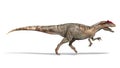 Allosaurus dinosaur, side view, 3d illustration Royalty Free Stock Photo