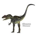 Allosaurus Dinosaur Tail with Font Royalty Free Stock Photo