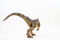 Allosaurus ,dinosaur on white background Royalty Free Stock Photo