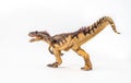 Allosaurus ,dinosaur on white background Royalty Free Stock Photo