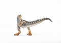 Allosaurus  ,dinosaur on white background Royalty Free Stock Photo