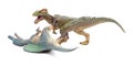 Allosaurus fights with spinosaurus on white background