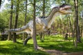 Allosaurus fragilis Royalty Free Stock Photo