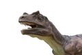 Allosaurus isolated on white background. Saltriosaur is a carnivore dinosuar