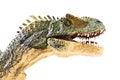 Allosaurus plastic figurine on white background Royalty Free Stock Photo