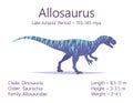 Allosaurus. Theropoda dinosaur. Colorful vector illustration of prehistoric creature allosaurus and description of Royalty Free Stock Photo
