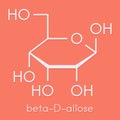 Allose beta-D-allopyranose form sugar molecule. Skeletal formula.