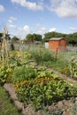 Allotment Royalty Free Stock Photo