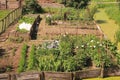 An allotment garden