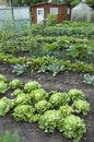 Allotment Garden Bed