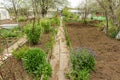 Allotment garden path