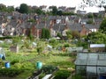 Allotment Gardens Chesterfield UK