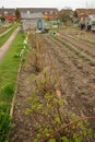 Allotment gardens