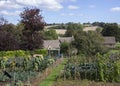 Allotments at Guiting Power, Cotswolds, Gloucestershire, England Royalty Free Stock Photo