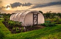 Allotments at sunset - Plastic Greenhouse