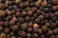 Allspice