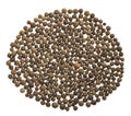 Allspice background. Spice texture isolated on whie Royalty Free Stock Photo