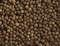 Allspice background. Spice texture Royalty Free Stock Photo