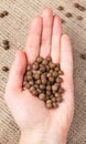 Allspice pepper aroma spice seeds in Royalty Free Stock Photo