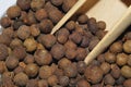 Allspice, Pimenta, Royalty Free Stock Photo