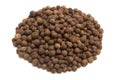 Allspice Royalty Free Stock Photo