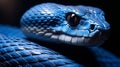 A close up of the head of blue fierce snake