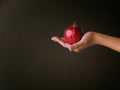 Allure of the scarlet apple. Cropped studio shot of a woman holding a red apple against a dark background. Royalty Free Stock Photo