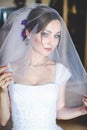 Alluring bride looks through the veil