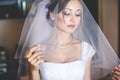 Alluring bride looks through the veil