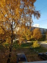 Alluring golden Russian autumn