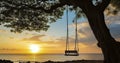 The Alluring View of Swings Under a Tree Against a Seaside Sunset Royalty Free Stock Photo