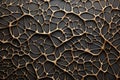 Alluring visual symphony unfolds in abstract composition, showcasing intricate pattern texture dance. Dynamic shapes