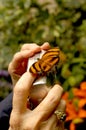 An allusive butterfly lands on the persons camera trying to take a picture of it.