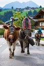 \'Almabtrieb\', event in autumn when decorated cows return from the alp, Oberau, Wildschoenau, Austria Royalty Free Stock Photo