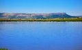 Almansa embalse reservoir pink flamingos