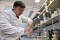 Almaty / Kazakhstan - 05.07.2012 : A medical laboratory worker pours various liquids from glass flasks for analysis