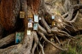 Orthodox icons are hung on the roots of an ancient tree at the entrance to a ruined skete in the mountains of the Almaty