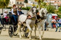 ALMAYATE, SPAIN - APRIL 22, 2018 Traditional Andalusian contest based on the presentation of the ability to drive horse with cart Royalty Free Stock Photo