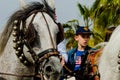 ALMAYATE, SPAIN - APRIL 22, 2018 Traditional Andalusian contest based on the presentation of the ability to drive horse with cart Royalty Free Stock Photo