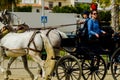 ALMAYATE, SPAIN - APRIL 22, 2018 Traditional Andalusian contest based on the presentation of the ability to drive horse with cart