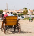 ALMAYATE, SPAIN - APRIL 22, 2018 Traditional Andalusian contest based on the presentation of the ability to drive horse with cart Royalty Free Stock Photo