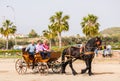 ALMAYATE, SPAIN - APRIL 22, 2018 Traditional Andalusian contest based on the presentation of the ability to drive horse with cart