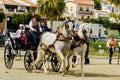 ALMAYATE, SPAIN - APRIL 22, 2018 Traditional Andalusian contest based on the presentation of the ability to drive horse with cart